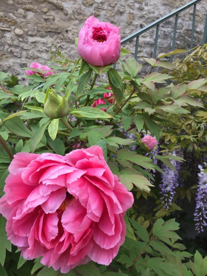 Les Gites Du Clos Saint-Martin Maule 外观 照片